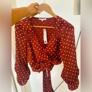 Silky Willow & Clay Top